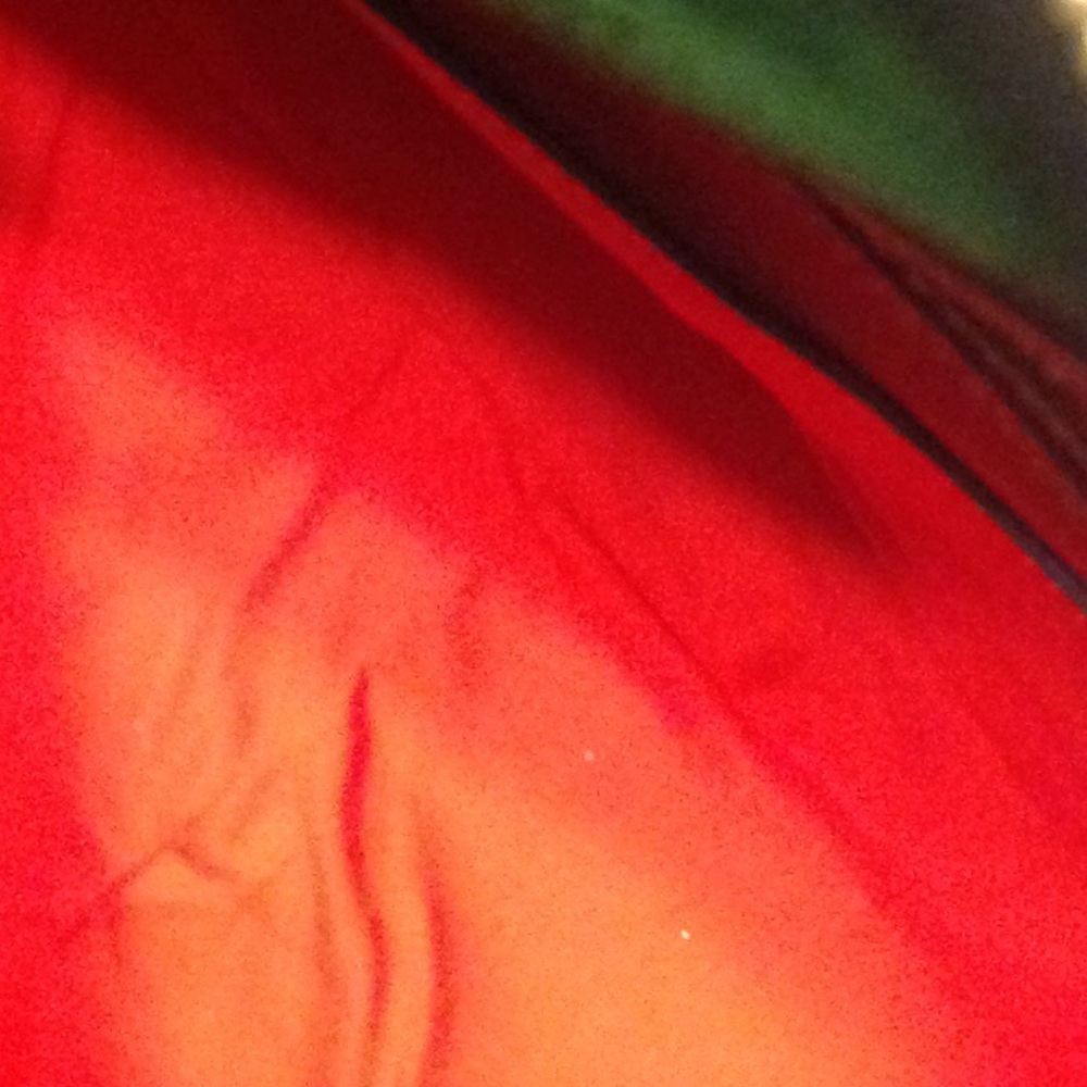 Purse - Picture 5 of 6